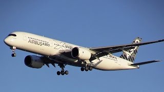 速報版！ 日本初飛来！ Airbus A350 XWB エアバス 羽田空港に着陸！