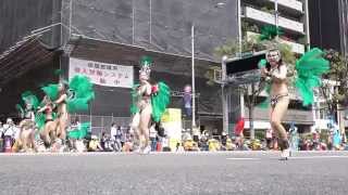 神戸まつり2014 サンバ Escola De Samba KOBECCO