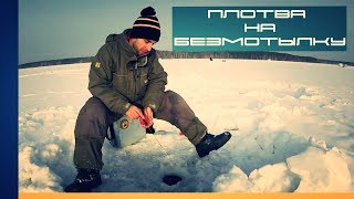 Плотва на безмотылку 2019