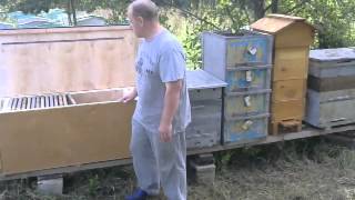 Вебинар - Пчеловодство доступное всем во Владимирских ульях.