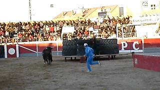 TORO RATON EN PEDROLA (ZARAGOZA) (Parte 2)