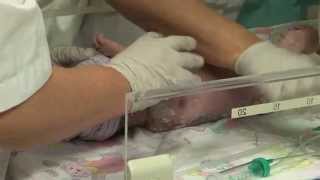 Werken als AIOS en opleiders Obstetrie en Gynaecologie in het UMCG