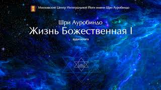 Шри Ауробиндо. Жизнь Божественная. Том 1.  Глава 5 - Предназначение Человека