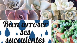 Comment bien arroser ??ses plantes succulentes ??Revue plantes succulentes #5??