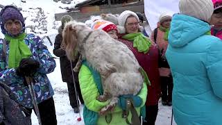 2018 каменск уральский 5 этап чемпионата свердловской области по зим плаванию