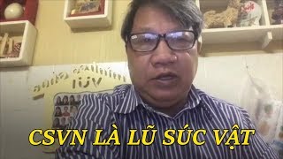 Anh hùng Đinh Quang Tuyến: CS là SÚC VẬT cắn xé người dân Việt Nam