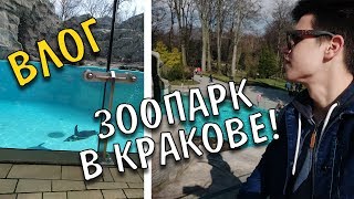 ВЛОГ С КРАКОВА, ПОЕЗДКА В КРАКОВСКИЙ ЗООПАРК