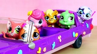 Unboxing LPS Pet Limo & Awesome Pawsome band!