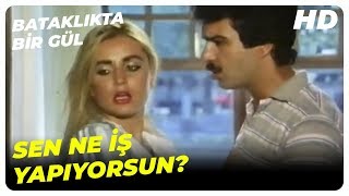 Bülent, Selma'nın Gerçek Yüzünü Öğrendi! | Bataklıkta Bir Gül - Banu Alkan Türk Filmi