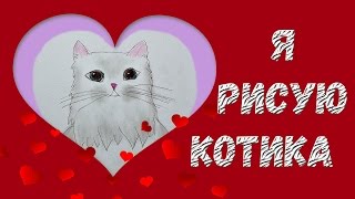 Как я рисую котика Видео для детей и взрослых про рисунки