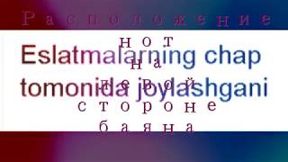 урок 2 - Расположение нот на левой стороне баяна