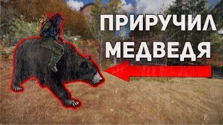 ШОК! КАК ПРИРУЧИТЬ МЕДВЕДЯ В РАСТ? БОМЖОРЕЙД #2