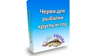 Черви для рыбалки. Круглый год. Червь старатель.