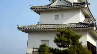 犬と旅行 ペットと観光 香川県「丸亀城」