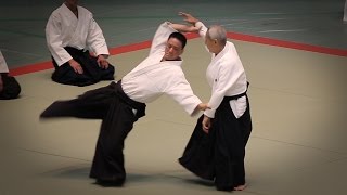 Aikido - Endo Seishiro Shihan  - 53rd All Japan Aikido Demonstration (2015)