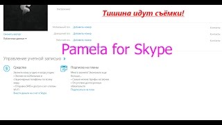 Как изменять статус в Skype на цветной,мигающий,большой,по центру (Pamela for Skype)