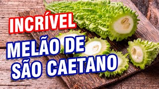 Melão de são Caetano  - anti diabético e anti câncer!