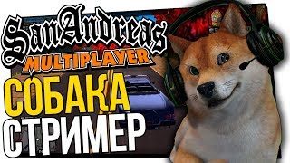 МОЯ СОБАКА СТРИМИТ SAMP ПО УТРАМ | GTA SAMP ARIZONA BRAINBURG | КРАСИВАЯ СБОРКА