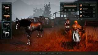 Приручение лошадей + карта респауна лошадей в Black Desert