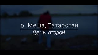 Рыбалка на Меше, Татарстан. День второй. Караси, Сазаны и куча драйва!