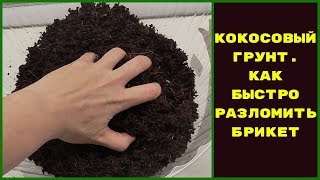 ВСЯ ПРАВДА  О КОКОСОВОМ СУБСТРАТЕ ДЛЯ РАССАДЫ