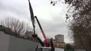 Доставка деревьев на участок из питомника Переделкино
