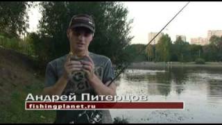 Хорватское-яйцо-bumble-lure-review-russia
