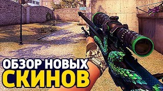 ОБЗОР НОВЫХ СКИНОВ В CS:GO - PRISMA CASE В КС ГО