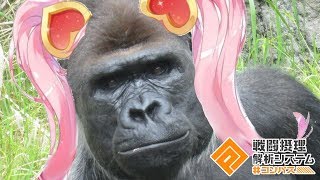 【#コンパス】リリカで13キルしたよ【ゴリカでしょうか？いいえゴリラです】(実況無し)