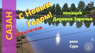 Русская рыбалка 4 - река Сура - Сазан на выползка или С Новым Годом!