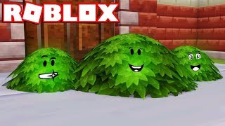 I'M A BUSH in ROBLOX BLOX HUNT / BEST HIDING SPOTS!!