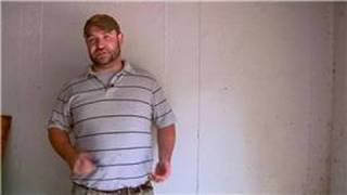 Pest Control : How to Get Rid of Mud Dauber Wasps