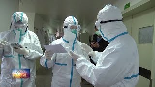 Dơi và rắn có thể là nguồn lây lan virus corona mới