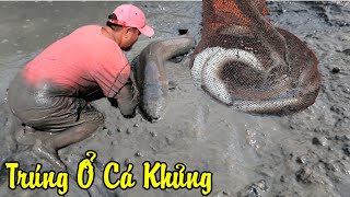 Đi Bắt Cá Không Ngờ Dính Ổ CÁ KHỦNG Như Thế Này? - Terrible Fish | Vợ Chồng Hai Lúa