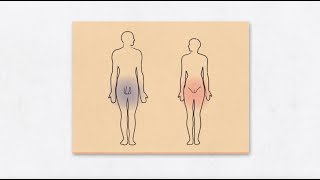 How to Wash someone's Genitals as a Caregiver