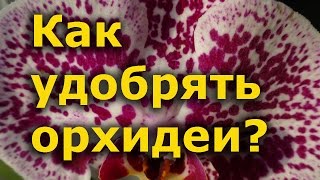 Секреты выращивания орхидей - Как удобрять орхидеи?
