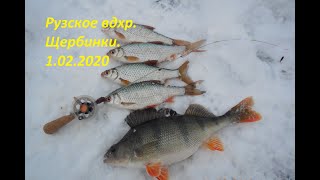 Рузское вдхр  Щербинки  1 02 2020