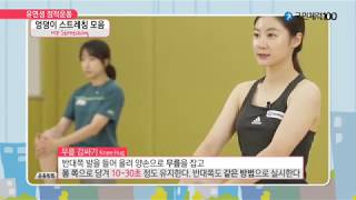 유연성 정적운동 #32. 엉덩이 스트레칭 모음