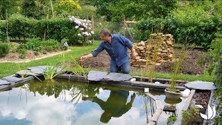 Permaculture : aménagement d'un bassin naturel (2/4) - Jardinerie Truffaut TV