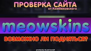 meowskins - ВОЗМОЖНО ЛИ ТУТ ПОДНЯТЬСЯ? Полная проверка сайта