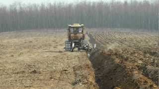 T-130 lánctalpas mélyszántás RIGOL ekével, bulldozer forest ploughing ( ЧТЗ 130 )