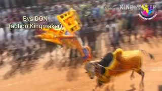 Hosur jallikattu BVS NTR Highlight Performance
