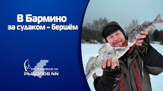 В Бармино за судаком – бершём