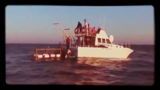 Megalodon Sharks HD 2017 -Megalodon Found! Megalodon The Monster Shark Lives