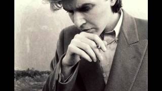 David Sylvian (with Ryuichi Sakamoto) - Forbidden Colours