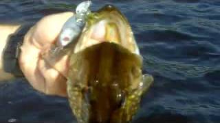 New Fishing Lures Baits Video