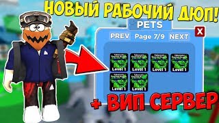 НЕ КЛИКБЕЙТ ? БАГ НА ДЮП ПЕТОВ В NINJA LEGENDS! | ROBLOX