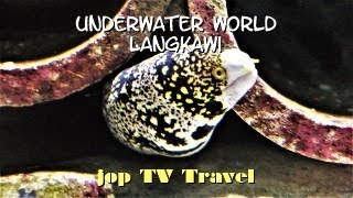 Tour of the Langkawi underwater world (Pulau Langkawi) Malaysia jop TV Travel
