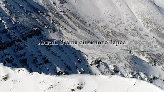 Алтай. Земля снежного барса