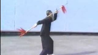 Shi Style Bagua